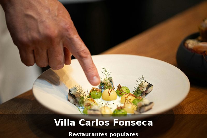 Restaurante en Villa Carlos Fonseca